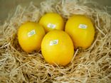 Citron BIO
