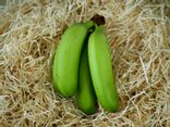 Banane Frécinette