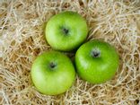 Pommes Granny Smith