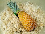 Ananas extra pain de sucre avion