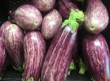 Aubergine graffiti