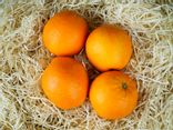 Orange de table bio