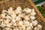 Champignons blancs