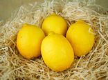 Citron jaune bio