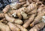 Curcuma BIO