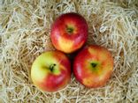 Pommes Jazz