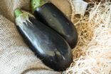Aubergine Noire