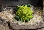 Chou romanesco