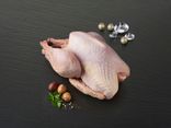Dinde fermière des Landes