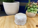 crottin de chèvre