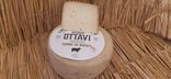 Tomme corse