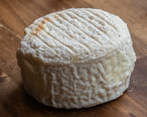 Cabri cendré
