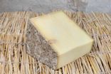 Cantal Jeune (lait cru)