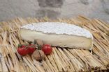 Brie de Melun AOP