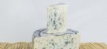 Bleu des Causses