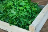 Roquette