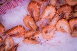 Gambas de Madagascar