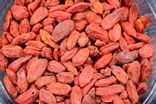 Baies de Goji