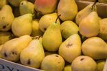 Poire Alexandrine bio