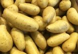 Pommes de terre Amandine nouvelle