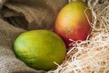Mangue Avion
