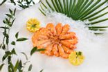 Crevettes de Madagascar 20/30