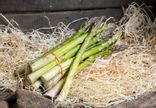 Asperges vertes
