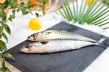 Filet de maquereau