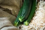 Courgette