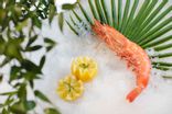 Crevettes roses calibre 20/30 extra
