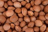 Amandes - vrac