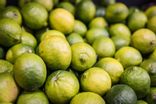 Citron vert