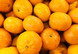 Mandarine orri