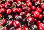 Cerise
