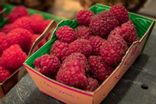 Fraise bio (500g)