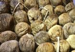 Figues sèches Baglama
