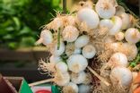 Oignon blanc botte
