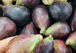 Figue bicolore