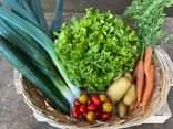 Panier fruits et légumes - Petit