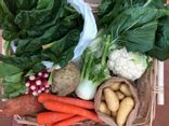 Panier de légumes d'hiver taille moyenne