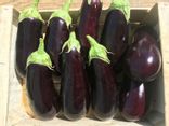 Aubergines
