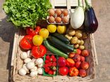 Panier fruits et légumes - Grand