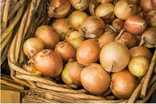 Oignons jaunes 500g