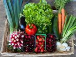 Panier fruits et légumes - Moyen