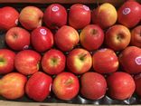 Pomme Pink Lady