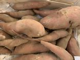 Patate douce 1 KG