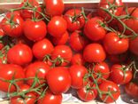 Tomates grappes