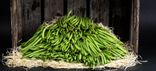 Haricots verts 250g SANS FIL EXTRA