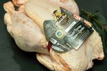 Poulet fermier blanc - Prêt à cuire