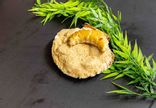 Coquille St-Jacques à la Bretonne